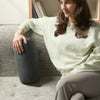Mini Roll Pillow (Indoor Dark Grey)